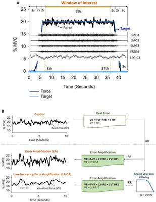 Improving Precision Force Control With Low-Frequency Error Amplification Feedback: Behavioral and Neurophysiological Mechanisms